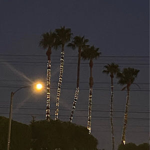 Meet your Posher, Mooneyes444